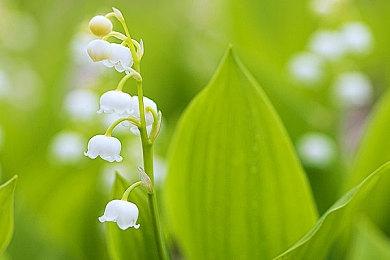 太空狼人杀！《First Class Trouble》PS4＆PS5宣传片